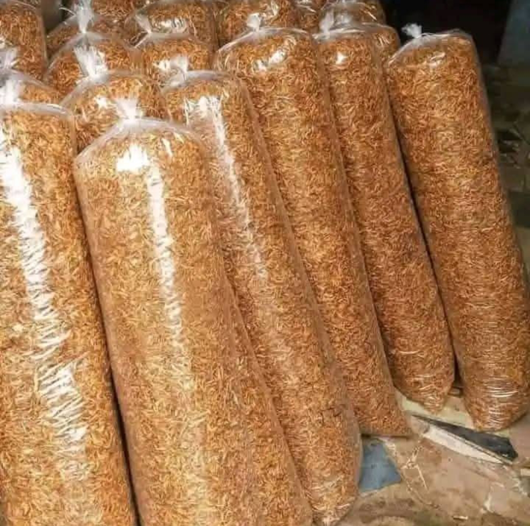 32 custard rubbers Crayfish (uncleaned) Free shipping