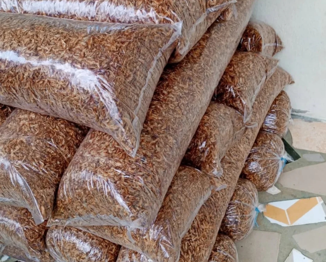 16 custard rubbers crayfish (uncleaned) Free shipping